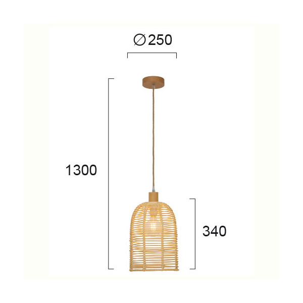 Φωτιστικό Οροφής Μονόφωτο Viokef Bell 4218200