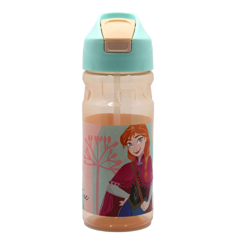 Παγούρι 500ml Με Καλαμάκι Gim Frozen