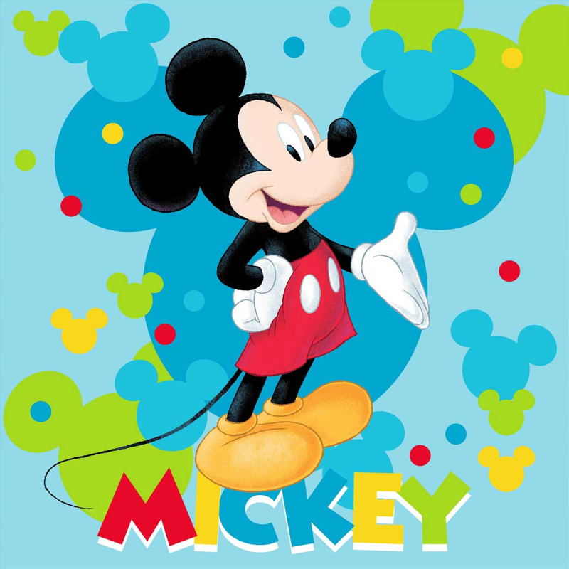 Λαβέτα Ώμου (30x30) Dimcol Mickey 73 Turquoise