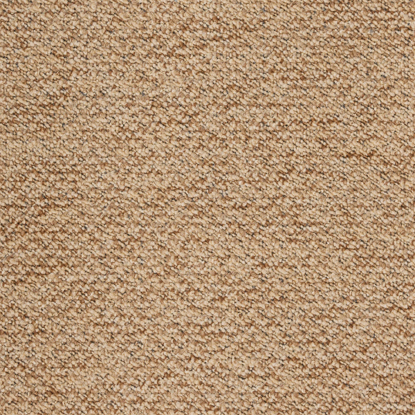 Μοκέτα (160x240) Βιοκαρπέτ Newton 63 M Beige