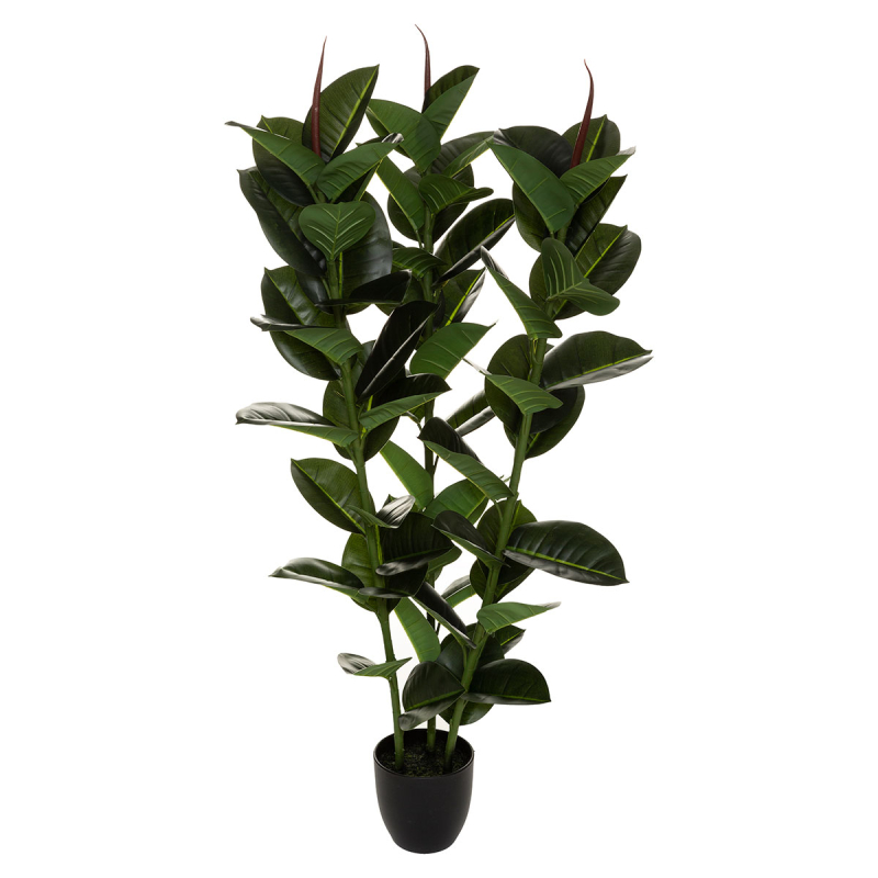 Τεχνητό Φυτό Σε Γλάστρα (Φ40x120) A-S Ficus Robusta 181460