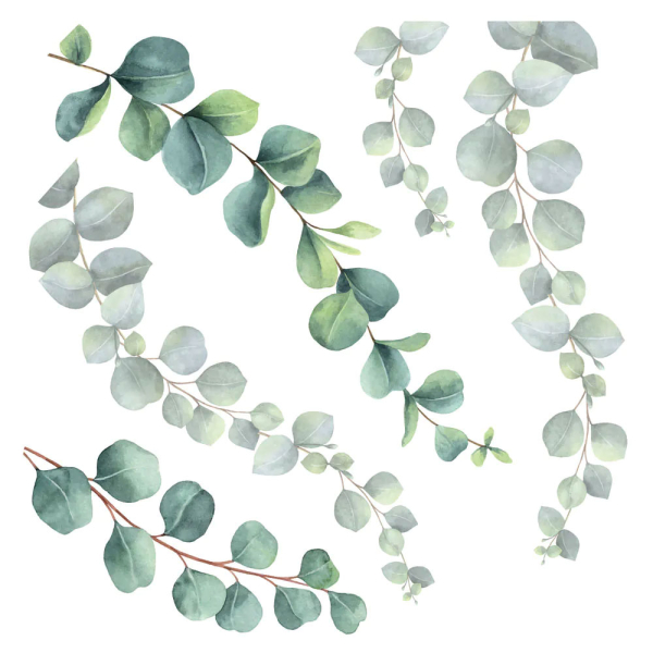 Αυτοκόλλητα Τοίχου Ango Eucalyptus 54120