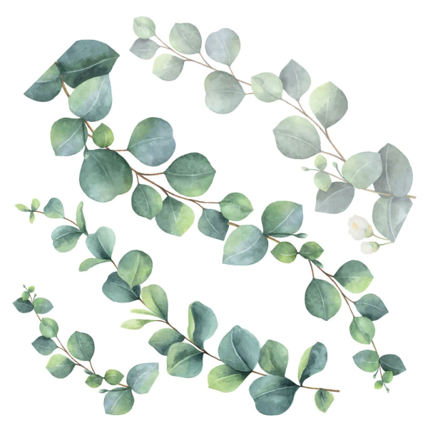 Αυτοκόλλητα Τοίχου Ango Eucalyptus 54120